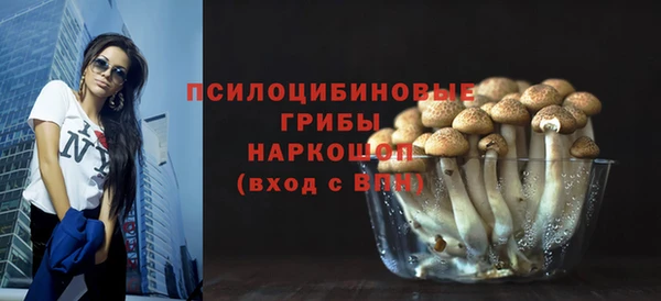 бошки Алексин