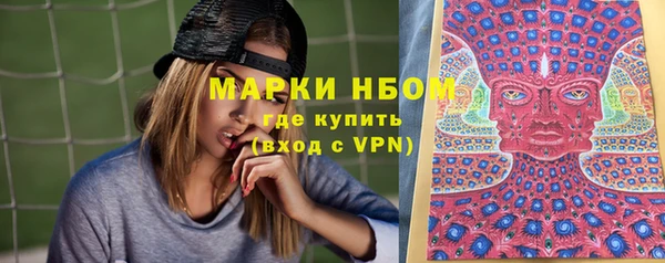 бошки Алексин