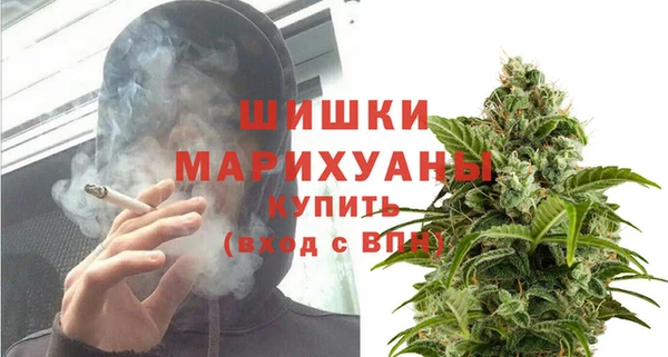шишки Переславль-Залесский