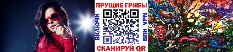 Псилоцибиновые грибы мухоморы  мориарти как зайти  Дзержинский 